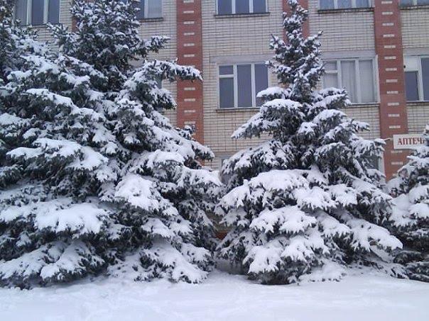 Дар'ївка з panoramio.com - Дар'ївка
