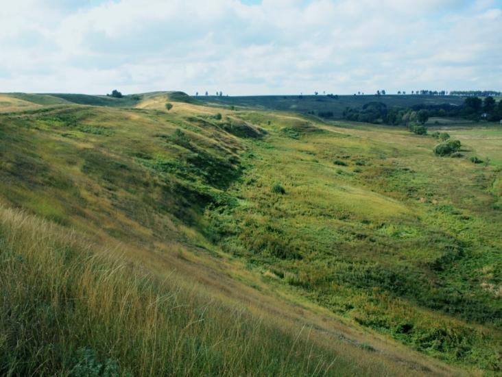 Барахти з panoramio.com - Barakhty