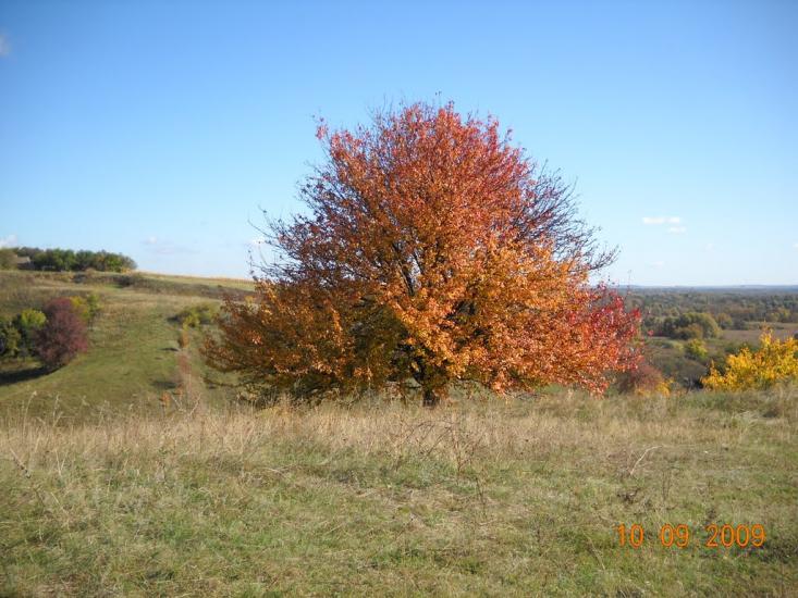 Христанівка з panoramio.com - Христановка