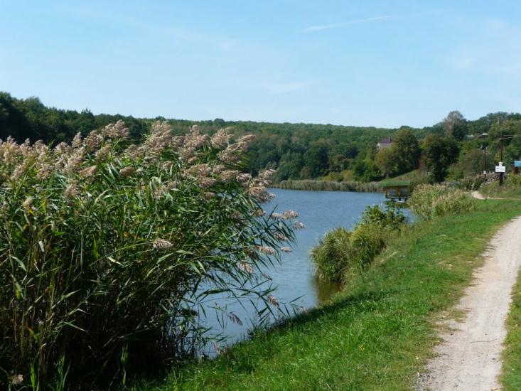 Бабаї з panoramio.com - Babayi