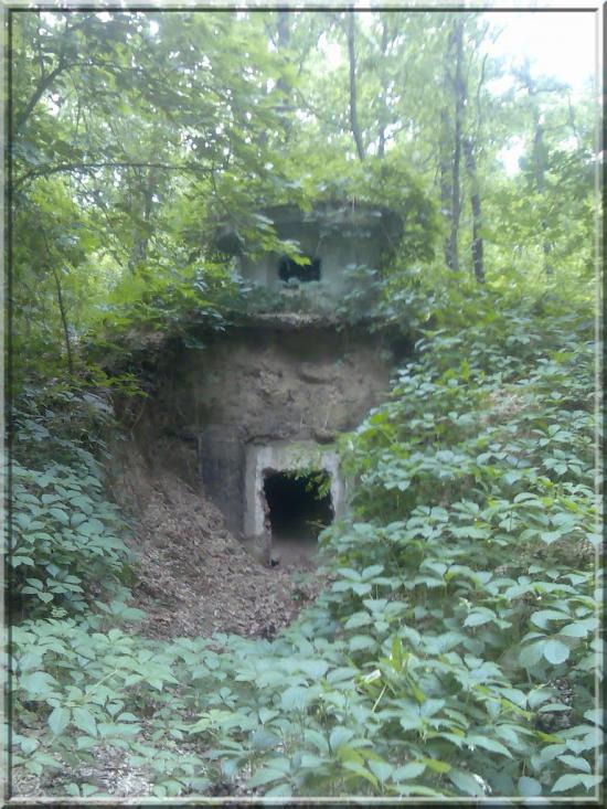 Ретик з panoramio.com - Ретик