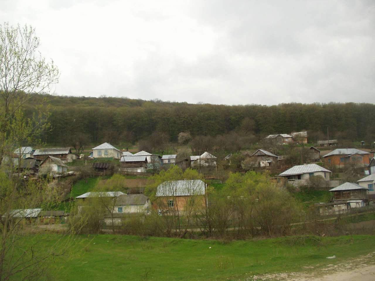 Кренцилів - Кринцілів