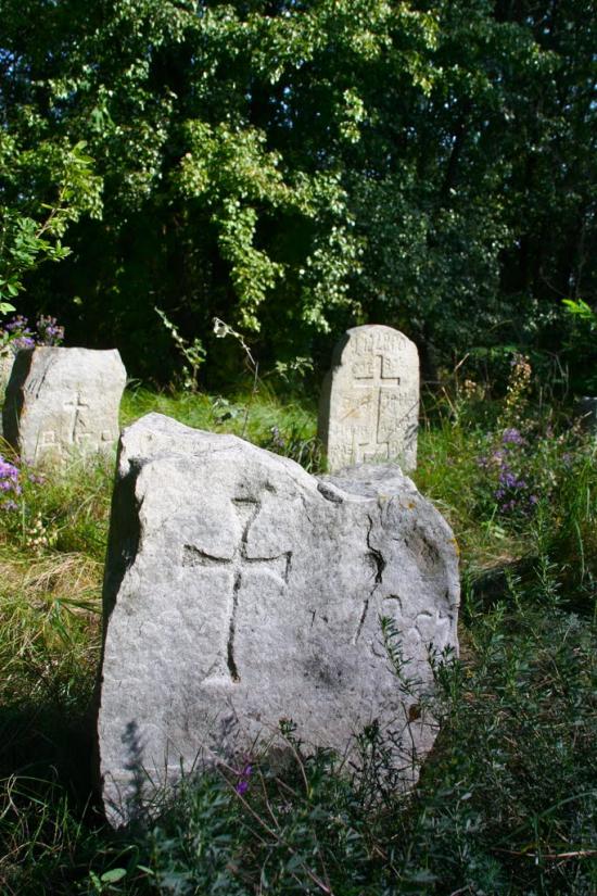 Луковиця з panoramio.com - Луковица