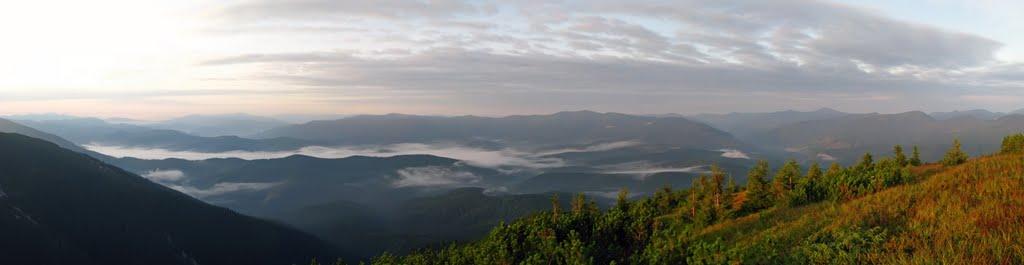 Осмолода з panoramio.com (ч.2) - Осмолода