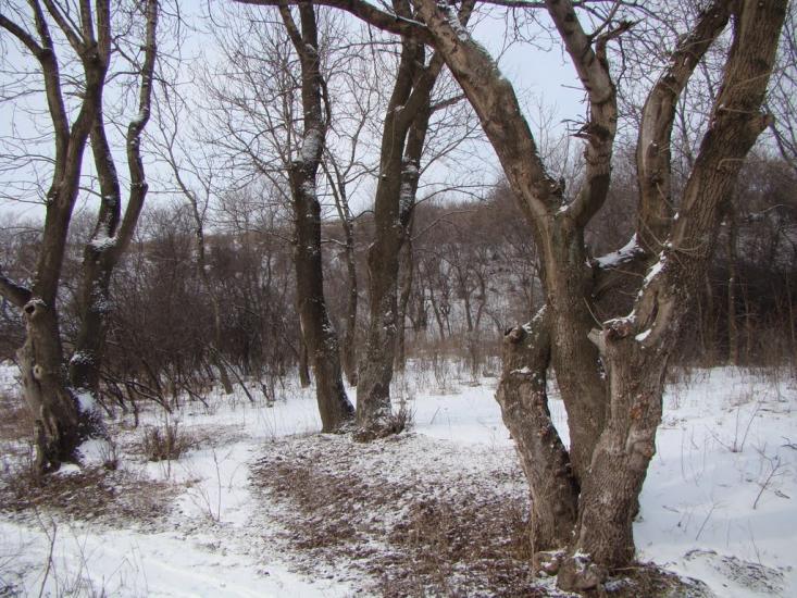 Антрацит з panoramio.com - Антрацит