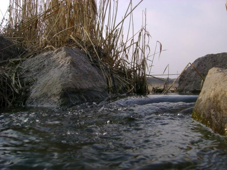 Донське з panoramio.com - Донское