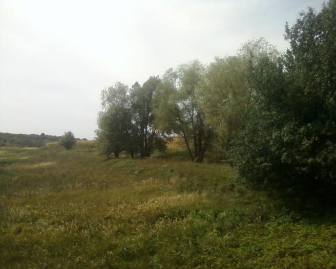 Синява з panoramio.com - Синява