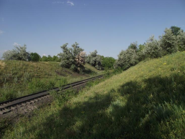Димитров з panoramio.com - Димитров