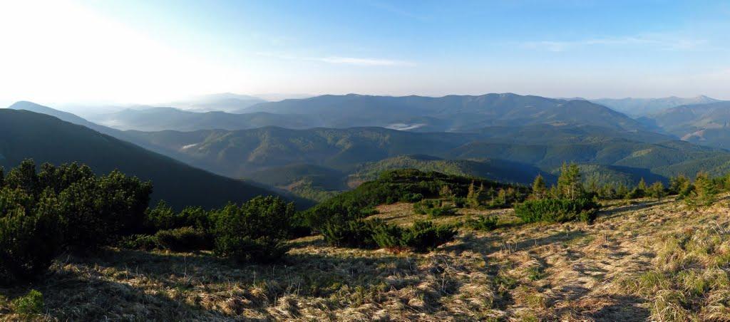 Осмолода з panoramio.com (ч.2) - Осмолода
