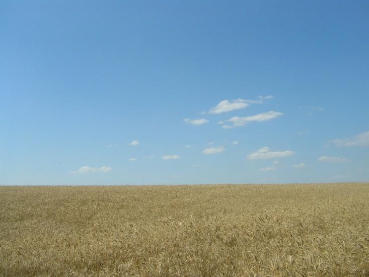 Северинівка з panoramio.com - Severynivka