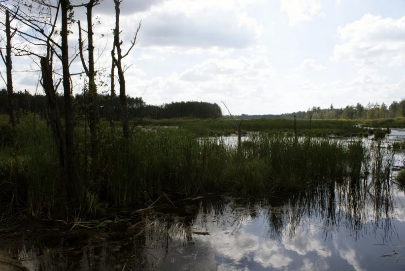 Кошари з panoramio.com - Кошари