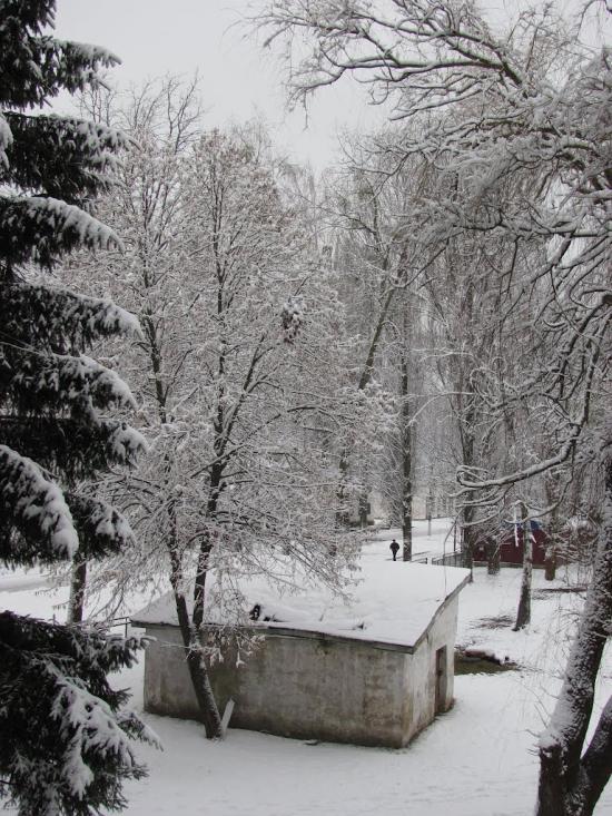 Гончарівське з panoramio.com - Гончарівське