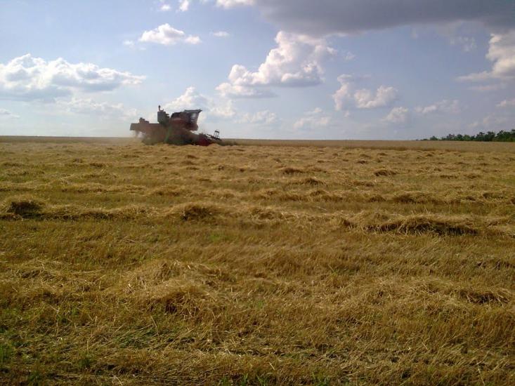 Першотравенка з panoramio.com - Первотравенка