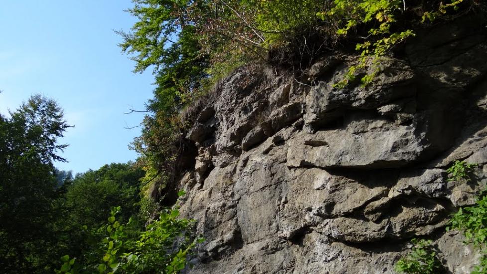 Луг з panoramio.com - Луг