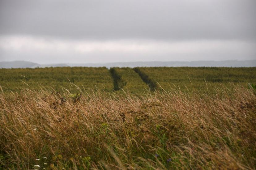 Лучківці з panoramio.com - Лучківці