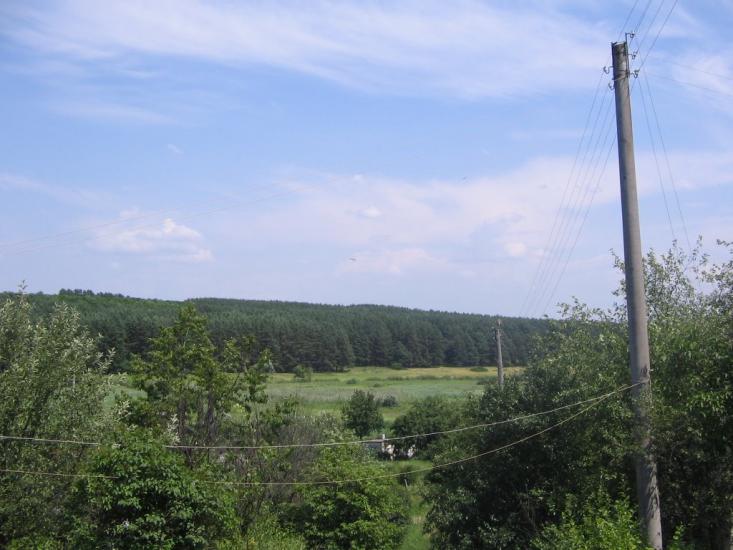 Шестакове з panoramio.com - Шестакове