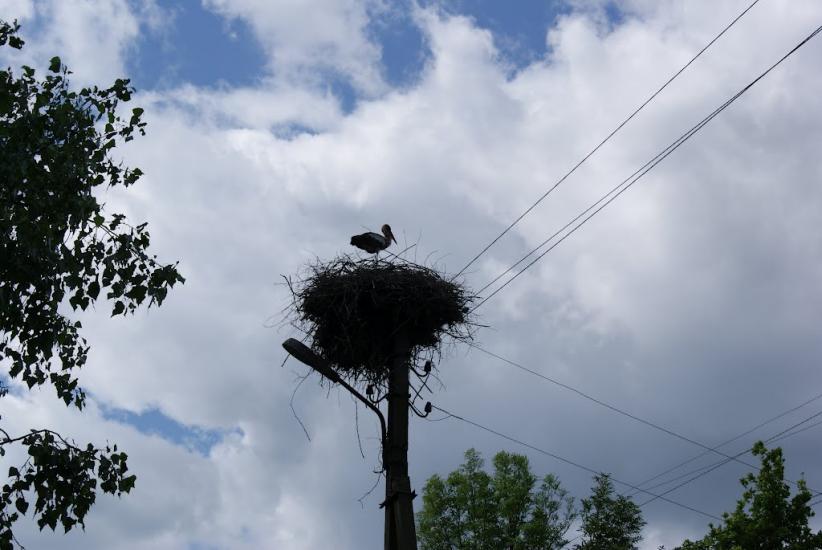Смолянка з panoramio.com - Смолянка