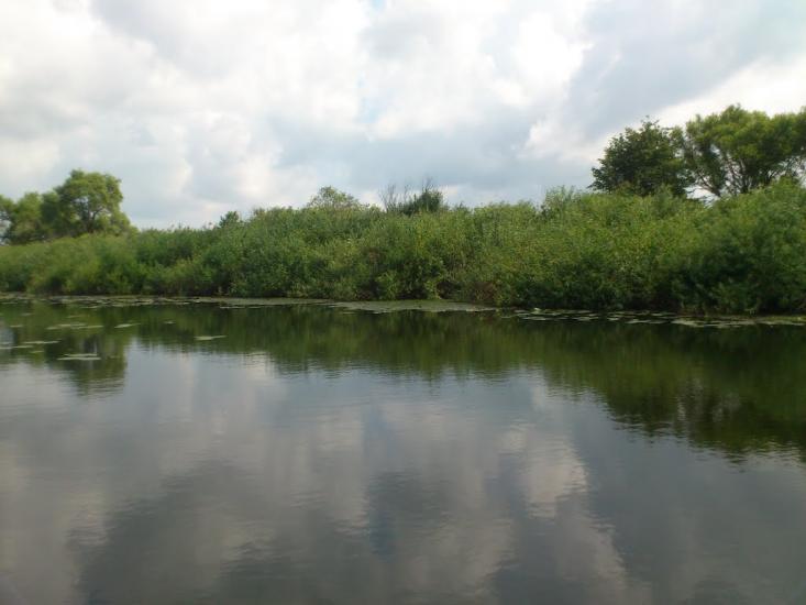 Любеч з panoramio.com - Любеч