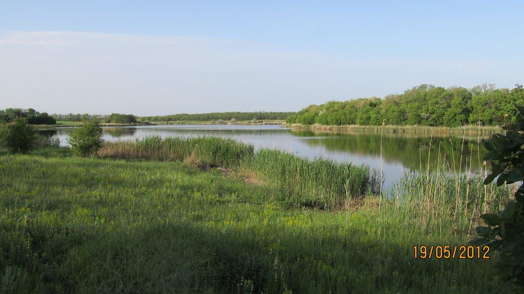 Кузнецово-Михайлівка з panoramio.com - Кузнецово-Михайлівка