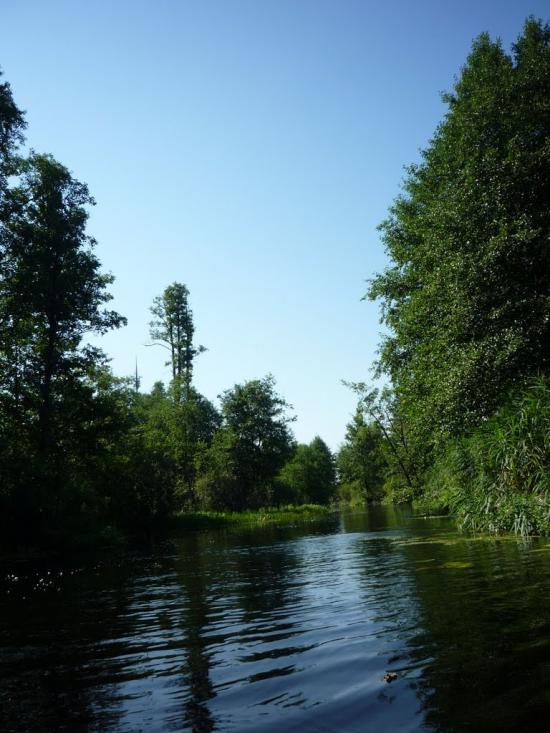 Бучин з panoramio.com - Бучин