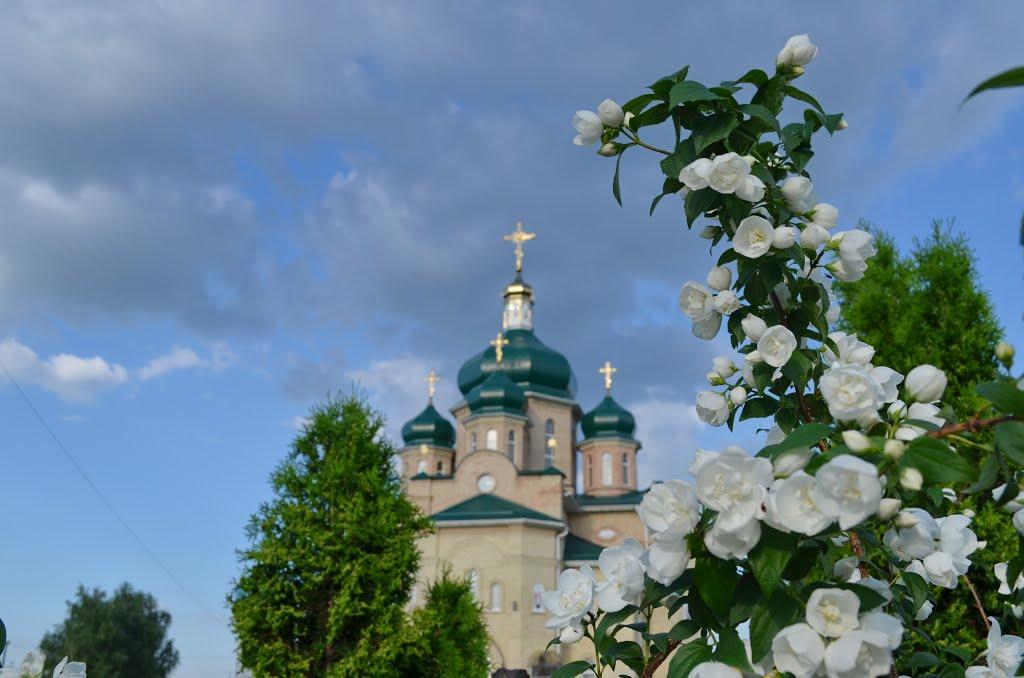 Білогородка з panoramio.com - Білогородка