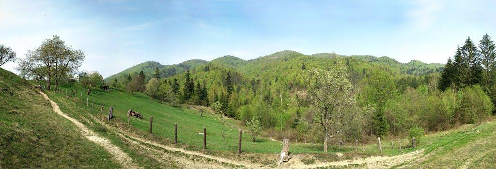 Хорови з panoramio.com - Khorovy