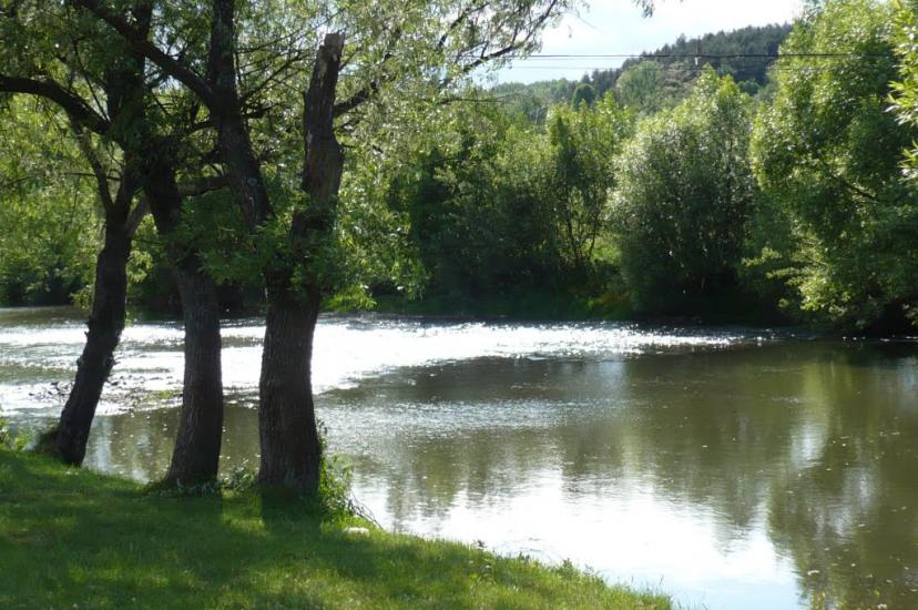Іршава з panoramio.com - Irshava