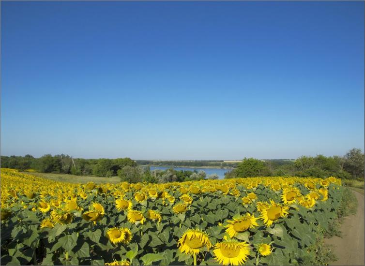 Інгулець з panoramio.com - Інгулець