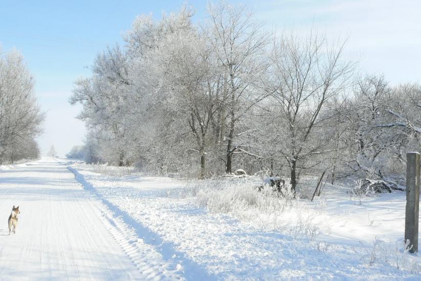 Миколай-Поле з panoramio.com - Миколай-Поле