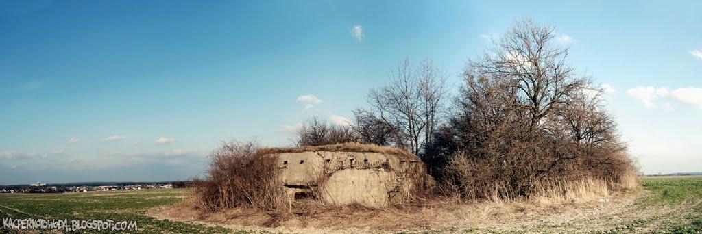 Зелена Гута з panoramio.com - Zelena Guta