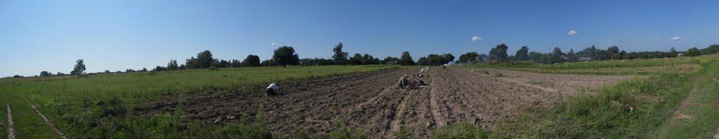 Семаки з panoramio.com - Семаки