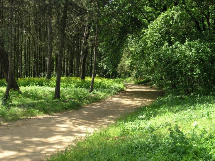 Зелений Гай з panoramio.com - Зелений Гай