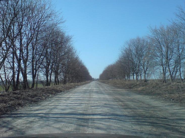 Тинна з panoramio.com - Тынная