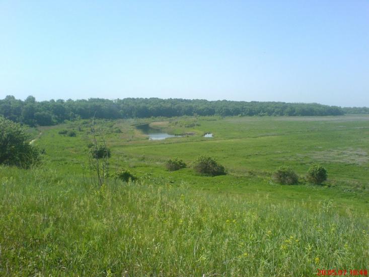 Піщане з panoramio.com - Піщане