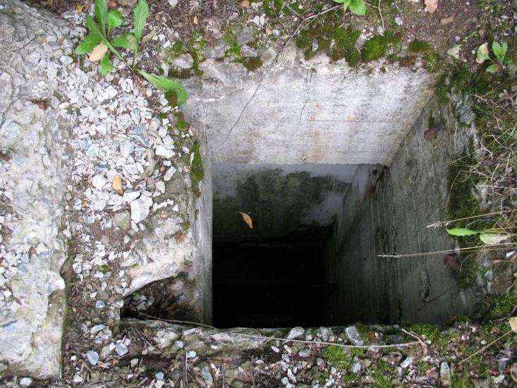 Дзензелівка з panoramio.com - Дзензелевка