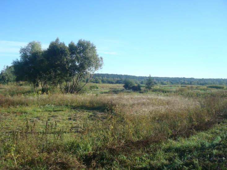 Судилків з panoramio.com - Судилков