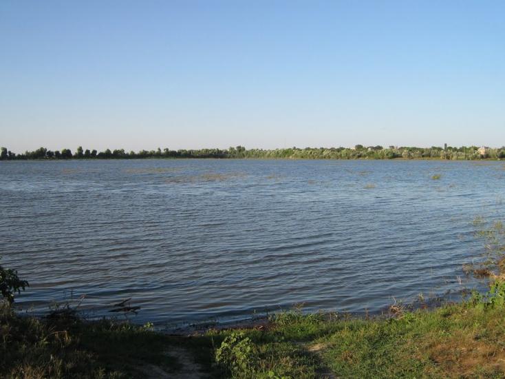 Кислиця з panoramio.com - Кислица