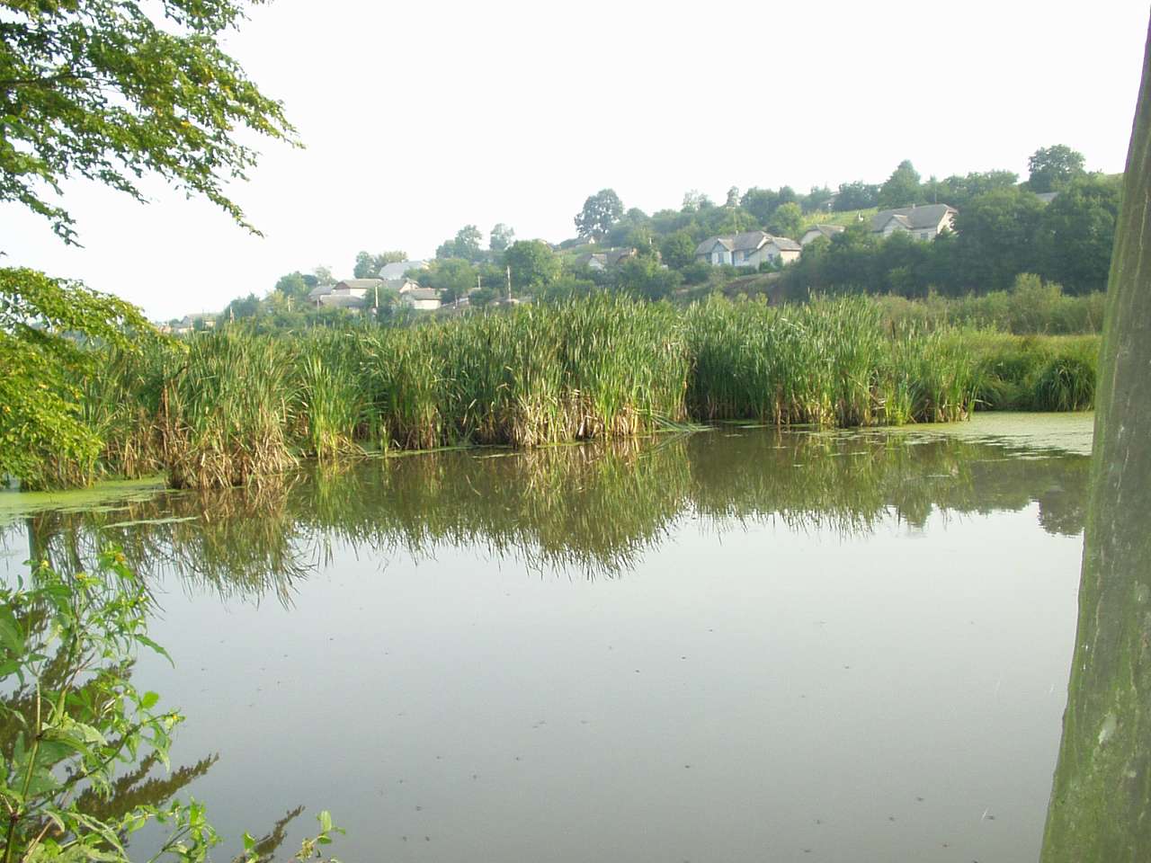 природа - Личківці