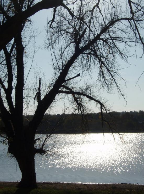 Басань з panoramio.com - Басань