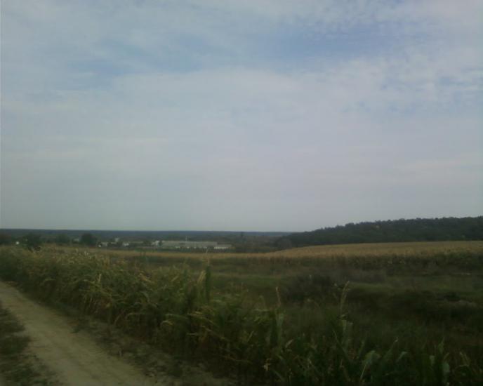 Синява з panoramio.com - Синява