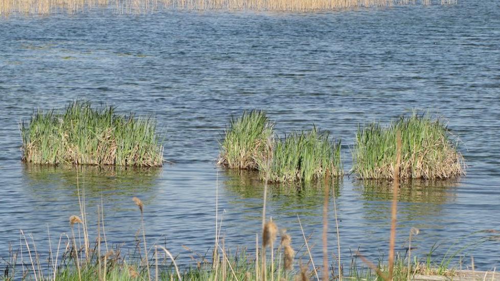 Пустоіванне з panoramio.com - Пустоиванье