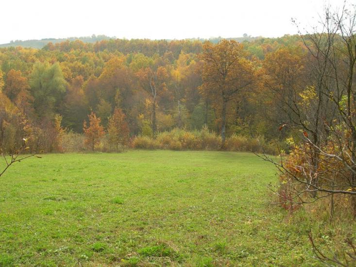 Великий Ключів з panoramio.com - Великий Ключів