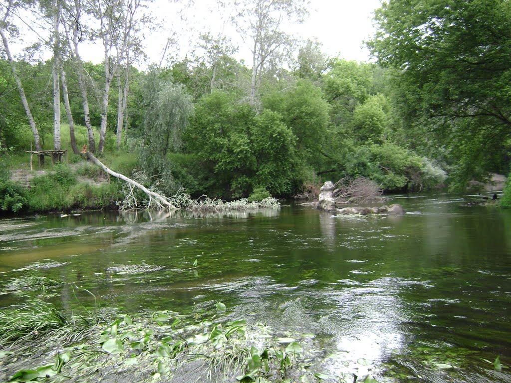 Нові Санжари з panoramio.com - Новые Санжары