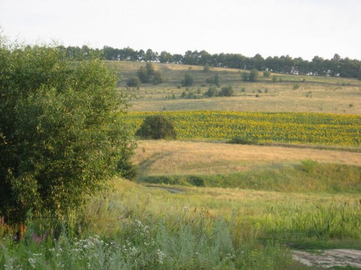 Кармалюківка з panoramio.com - Кармалюківка