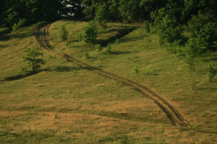 Прихідьки з panoramio.com - Прихідьки