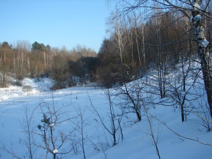 Мохначі з panoramio.com - Мохначі