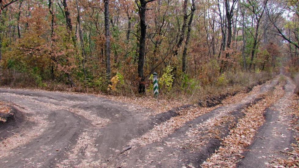 Гурівка з panoramio.com - Гуровка