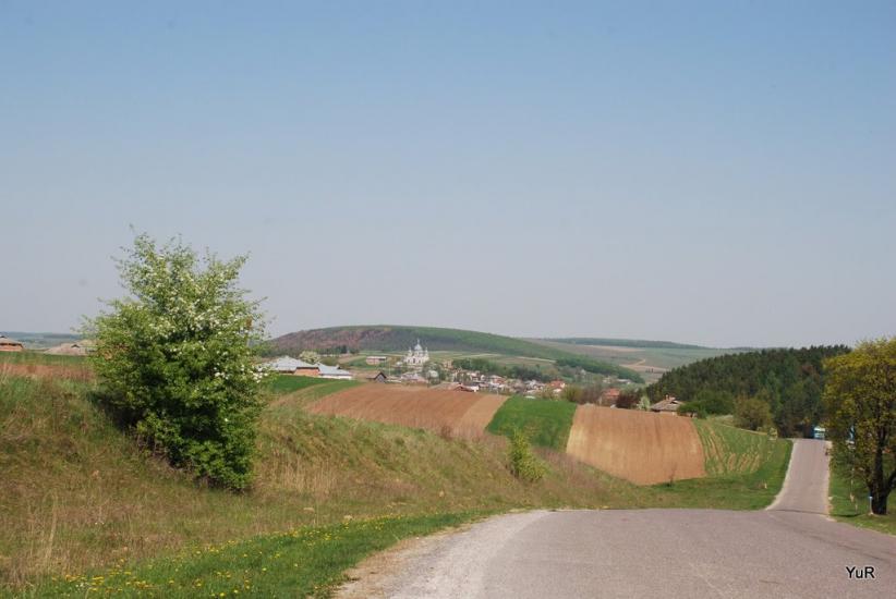 Гиновичі з panoramio.com - Гиновичі