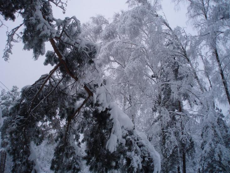 Судилків з panoramio.com - Sudylkiv