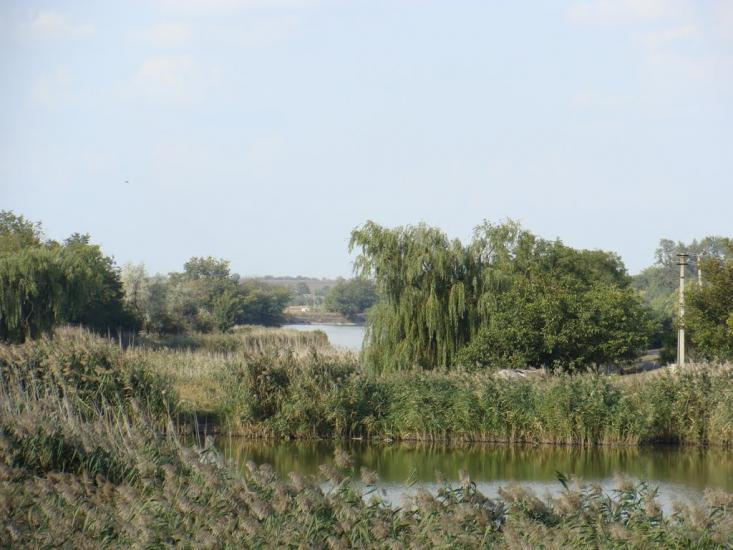 Кудашівка з panoramio.com - Кудашевка